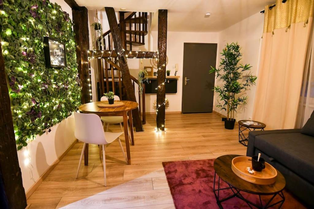 Le Petit Bali Apartment Selestat Ngoại thất bức ảnh